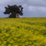 Sint-Pieters-Rode